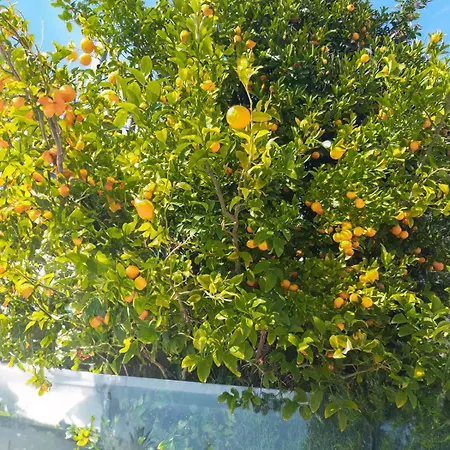 Mara με ιδιωτική παραλία Loutra Elevtheron