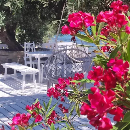 Дом отдыха Mara με ιδιωτική παραλία *