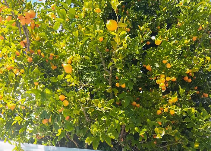 Mara με ιδιωτική παραλία Loutra Elevtheron